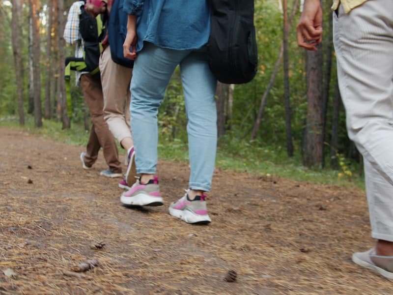 Marche en forêt